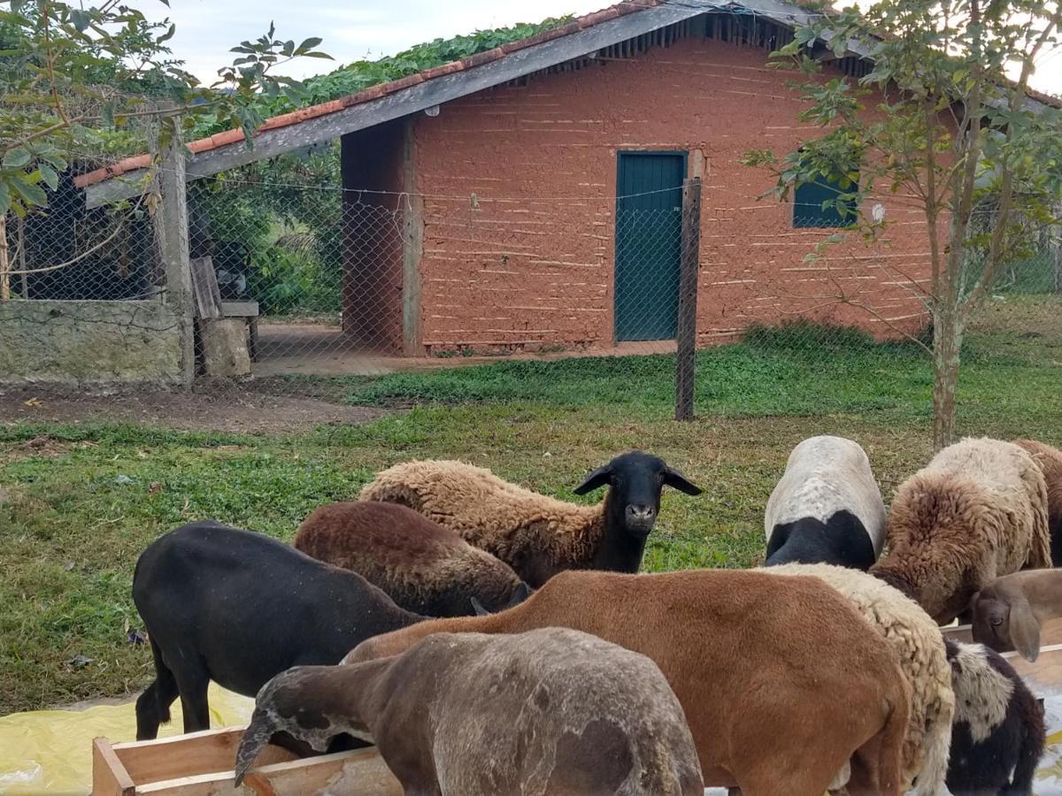 Pousada Rural Ouro Verde Eldorado Εξωτερικό φωτογραφία