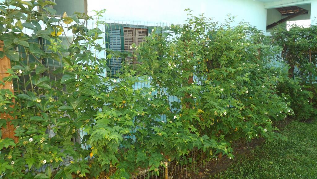 Pousada Rural Ouro Verde Eldorado Εξωτερικό φωτογραφία