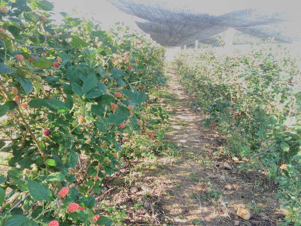 Pousada Rural Ouro Verde Eldorado Εξωτερικό φωτογραφία